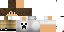 Texture for McGarret