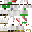 Texture for Maxim55520