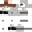 Texture for shizeR