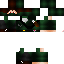 Texture for steve____
