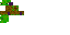 Texture for Turtle