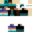 Texture for Dynastar