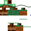 Texture for turtle skull con V2