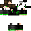 Texture for steve
