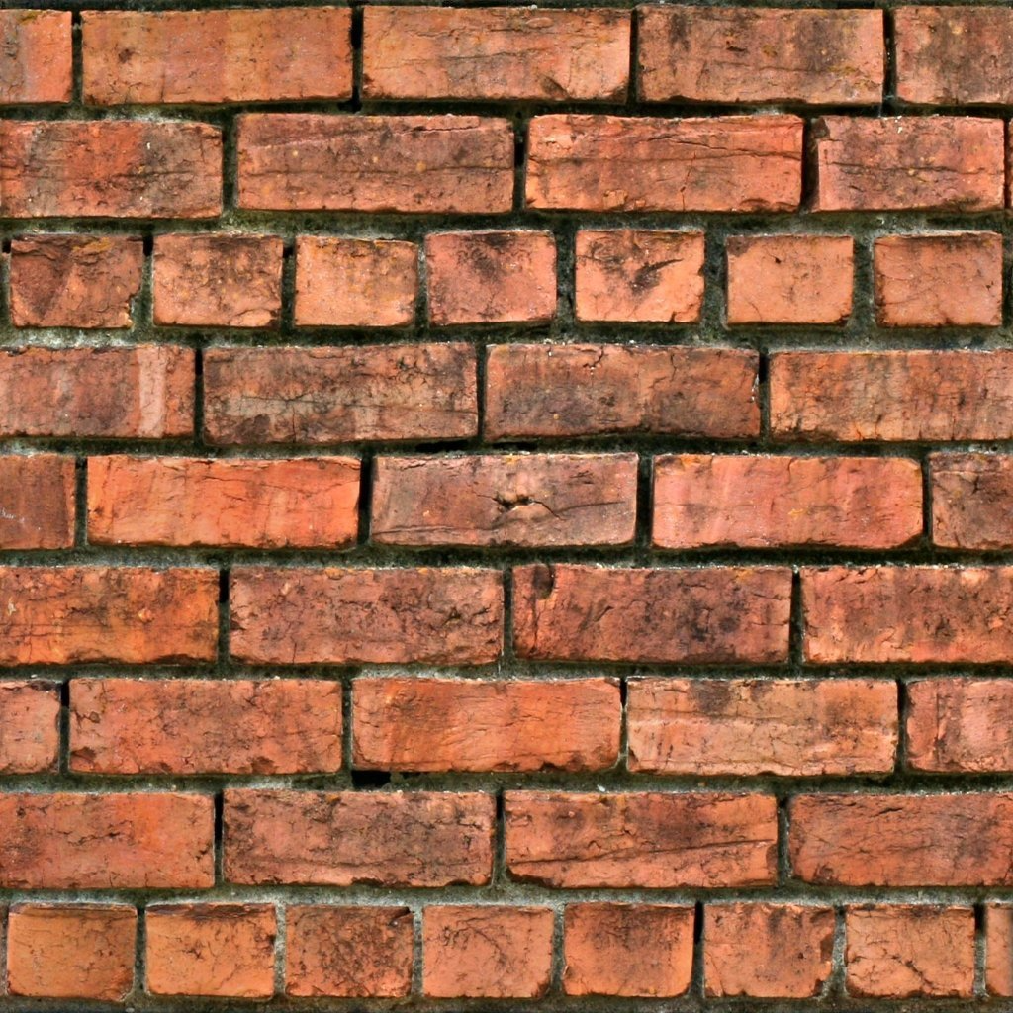 Texture for trjyyr