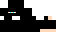 Texture for NINJA