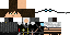 Texture for max
