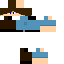 Texture for Bloxd Io