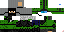 Texture for FBI NINJA