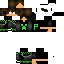Texture for STEVE