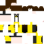 Texture for xion