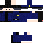 Texture for police_megane