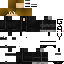 Texture for For Pingouinyo