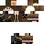 Texture for mod. lyon