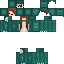 Texture for Sansa_13