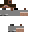 Texture for Steve Rober