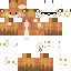 Texture for swag fox