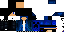 Texture for WDsa