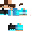 Texture for steve