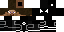 Texture for gt