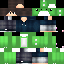 Texture for Inspector_Apples