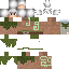 Texture for 123