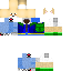 Texture for fennec danek