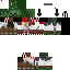 Texture for ss