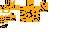 Texture for tiger