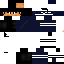 Texture for Fleex3r