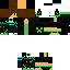 Texture for brandon