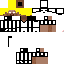 Texture for Steve Brine