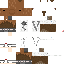 Texture for capybara vane