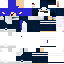 Texture for moon piguin