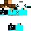 Texture for Renner
