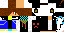Texture for PRAUS