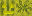 Texture for Fogelscheuchen melone