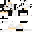 Texture for pro lara