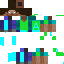 Texture for Steve