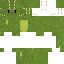 Texture for Lizard
