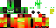 Texture for chamleon