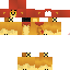 Texture for simba