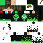 Texture for steve