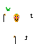 Texture for carrot