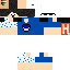 Texture for michel_pc