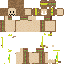 Texture for SANDIA3