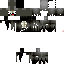 Texture for gr