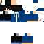 Texture for BILU OPTION 2