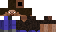 Texture for Steve