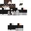 Texture for pp